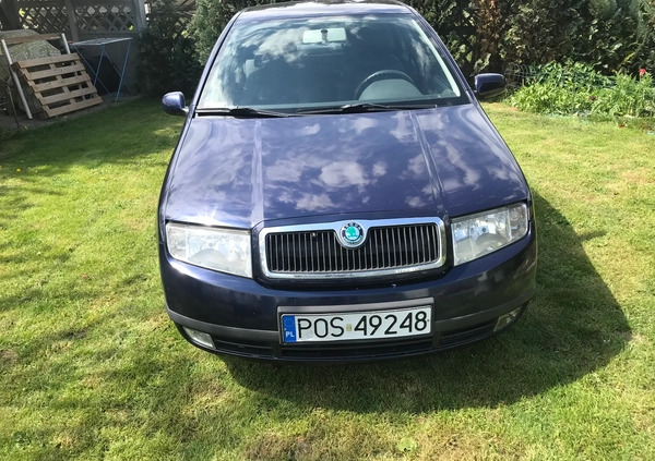 Skoda Fabia cena 7500 przebieg: 299573, rok produkcji 2003 z Stawiski małe 154